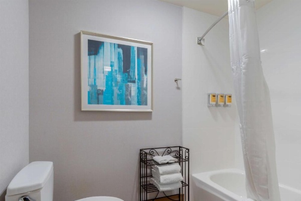 Best Western Plus Novato Oaks Inn image 26